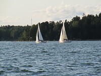 WHC 8
© Réa Maxwell

2009-08-19-19-20-46