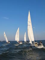 WHC 11
© Réa Maxwell

2009-09-09-18-14-32