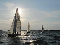 WHC 11
© Réa Maxwell

2009-09-09-18-14-57