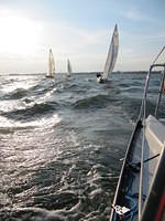 WHC 11
© Réa Maxwell

2009-09-09-18-16-12