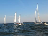 WHC 11
© Réa Maxwell

2009-09-09-18-17-19