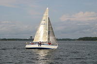 IMG 2746