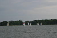 IMG 2754