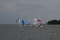 IMG 2768