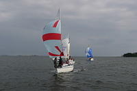 IMG 2779