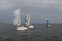 IMG 2781