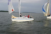 IMG 2782