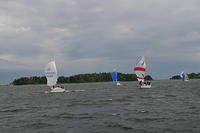 IMG 2841