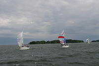 IMG 2843
