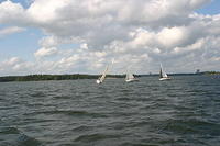 IMG 2858