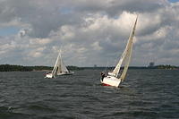 IMG 2862