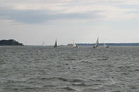 IMG 2874