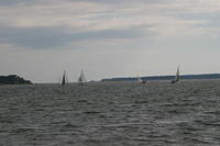IMG 2875