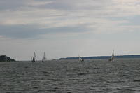 IMG 2876