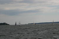 IMG 2877