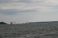 IMG 2878