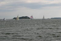 IMG 2880