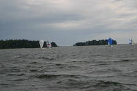 IMG 2895