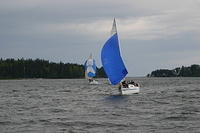 IMG 2910