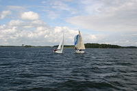 IMG 2941