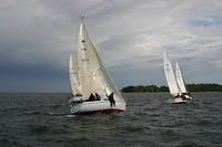 IMG 2950