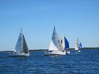 IMG 5956