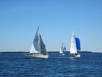 IMG 5958
