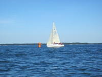 IMG 5960