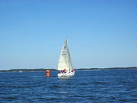 IMG 5961