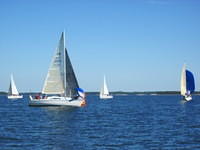IMG 5965