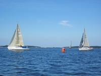 IMG 5970