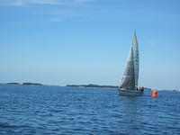 IMG 5971