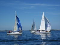 IMG 5975