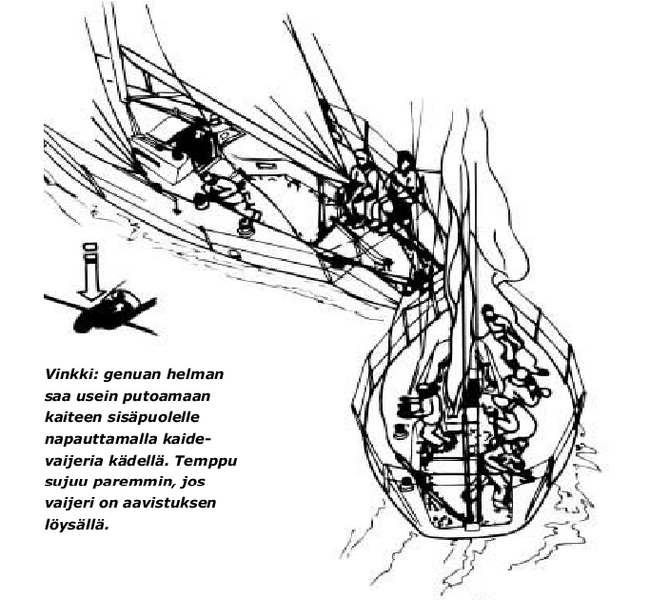 Tiedosto:Vauhtiseminaari-mano-venda1.png